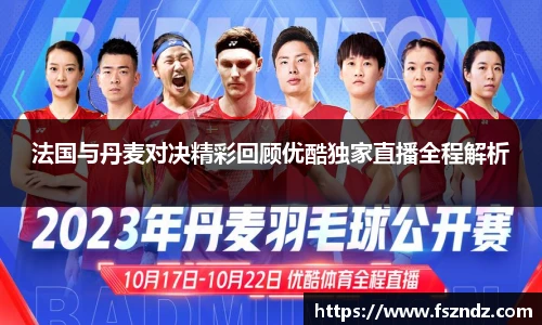 法国与丹麦对决精彩回顾优酷独家直播全程解析